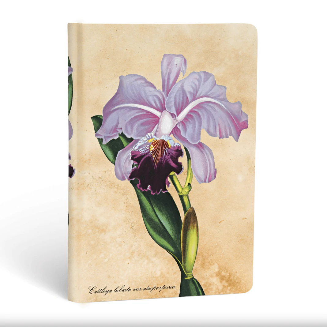 Brazilian Orchid, Painted Botanicals, Mini, Lined