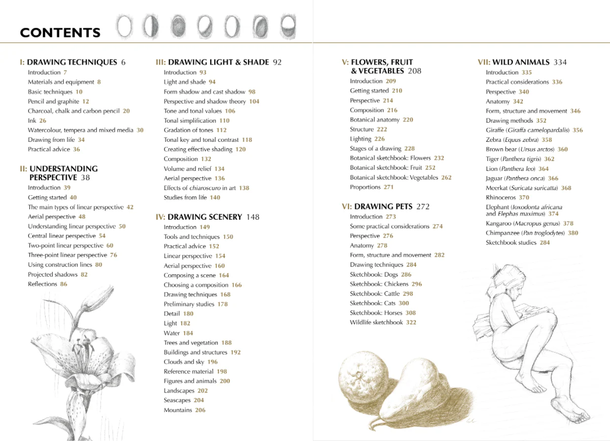 Drawing - A Complete Guide: Nature - Image 2