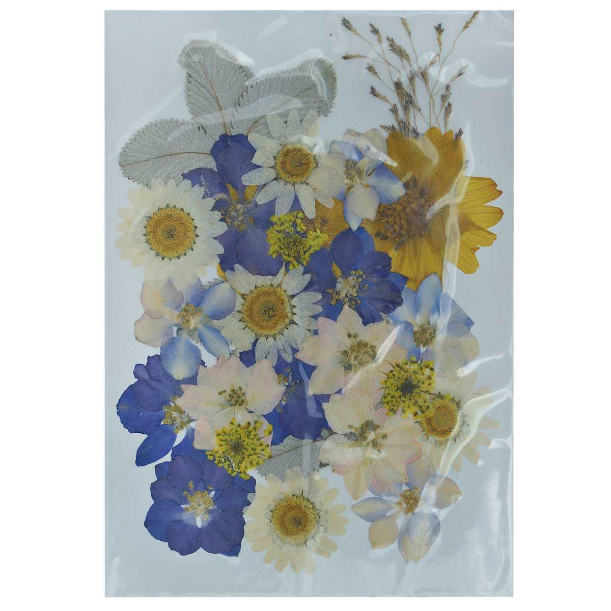 Dried Pressed Flowers - Image 10