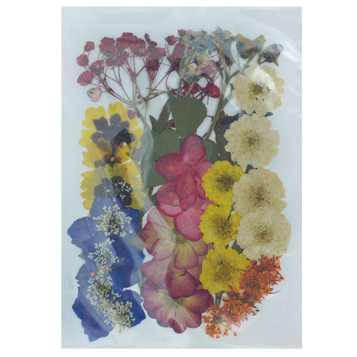 Dried Pressed Flowers - Image 13