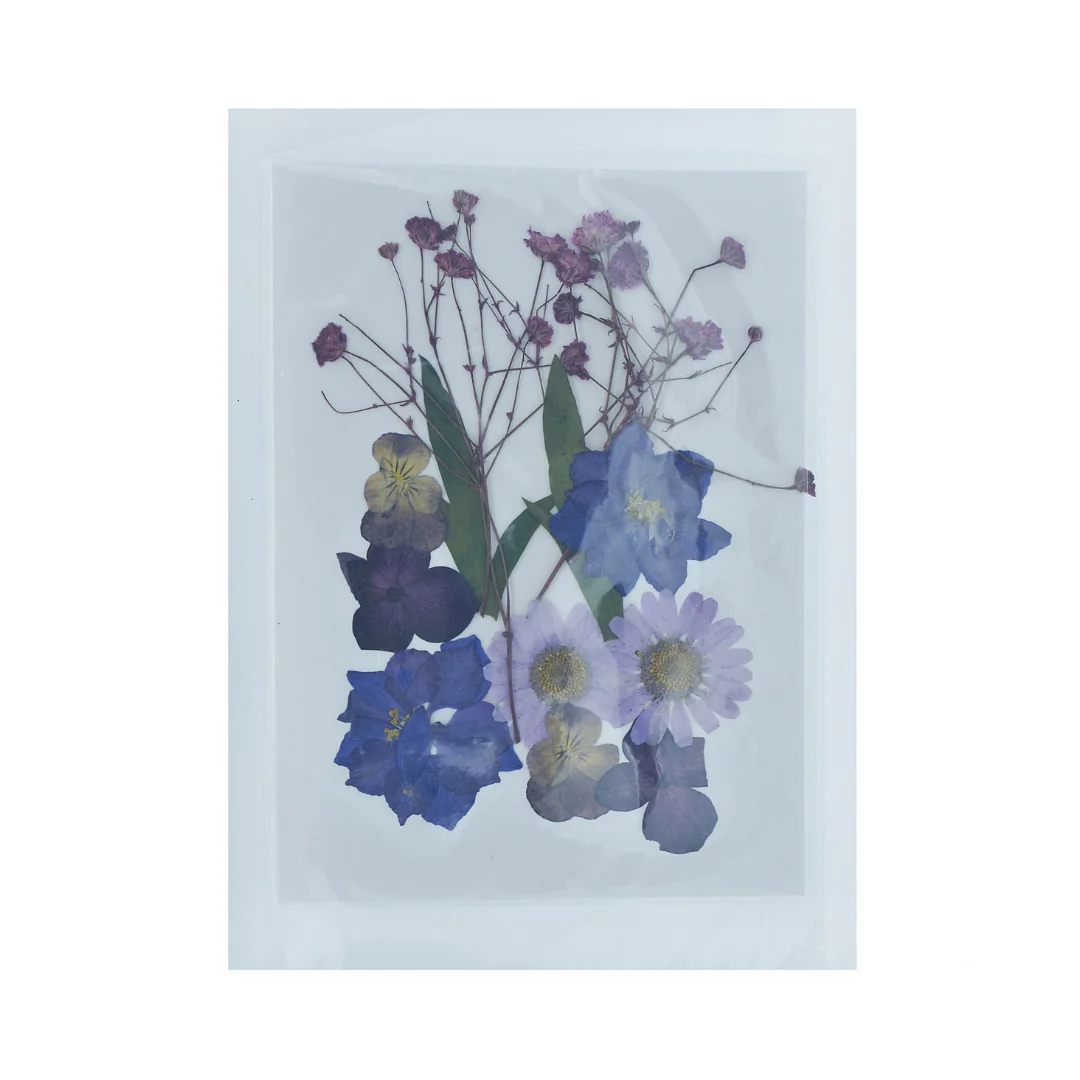 Dried Pressed Flowers - Image 14