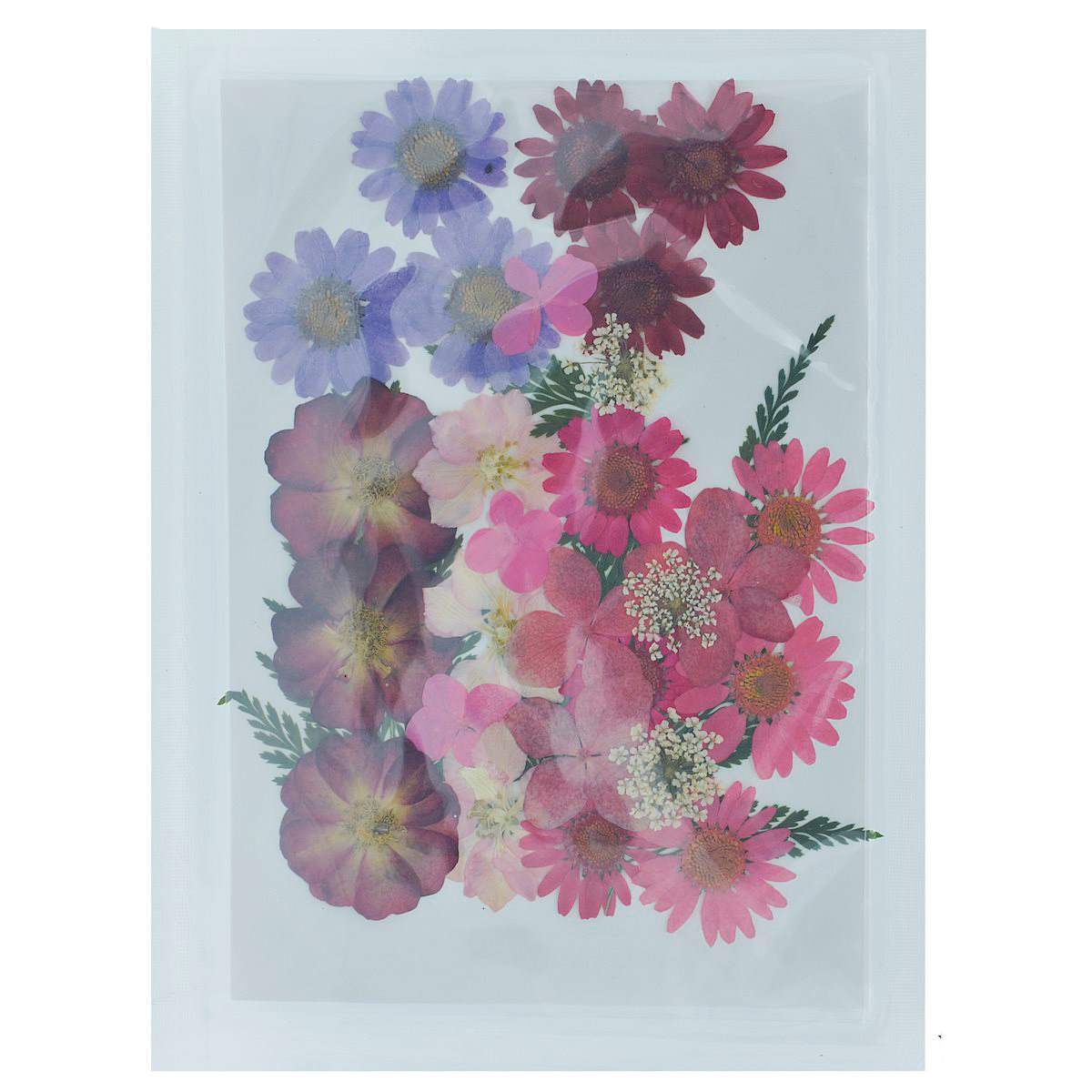 Dried Pressed Flowers - Image 8