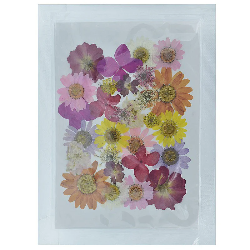 Dried Pressed Flowers - Image 9