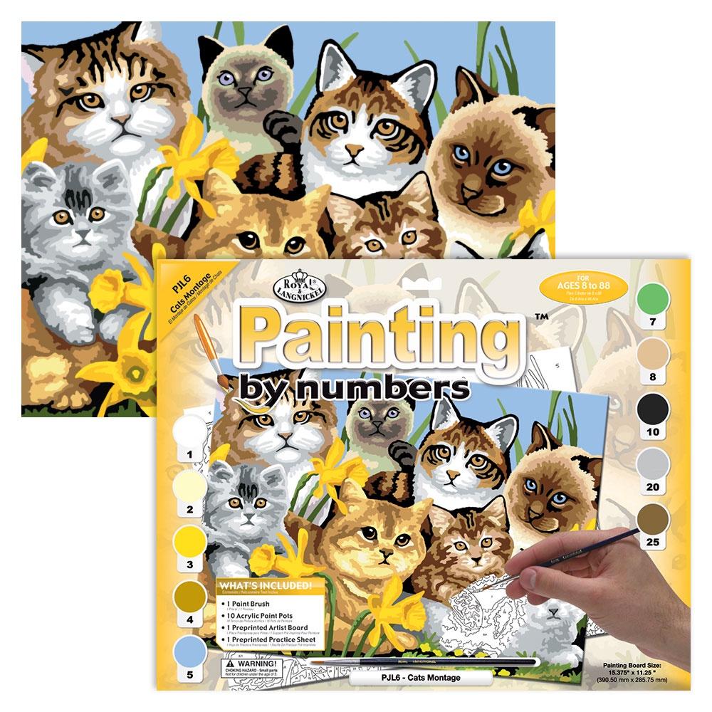Paint by Numbers (Junior) - Cats Montage (Ages 8+)