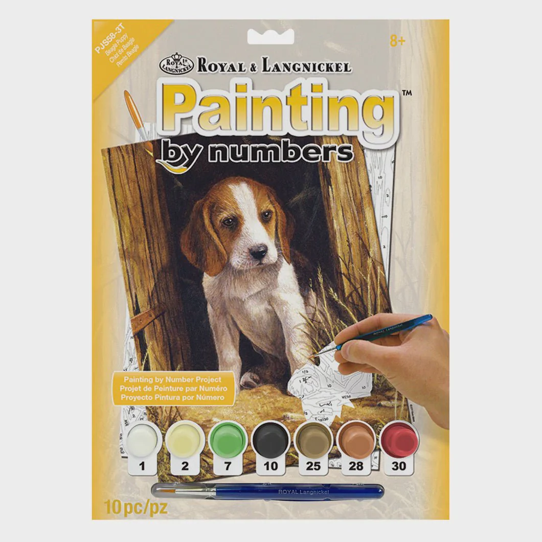 Paint by Numbers (Small) - Beagle Puppy (Ages 8+)