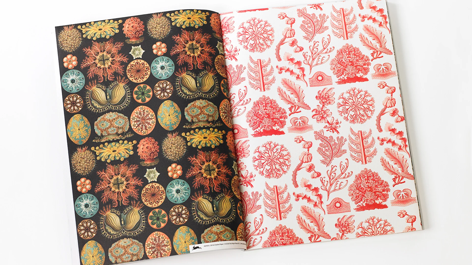 PEPIN Gift & Creative Papers: Art Forms in Nature (Vol. 83) - Image 3